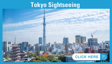 Tokyo Sightseeing