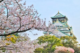 The Beauty of Japan's Natural Landscapes