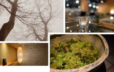 源泉茶寮　玄　箱根強羅　コンセプトと特徴