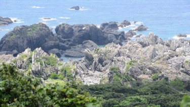 市全体でウェルネス町づくりを【高知県室戸市】