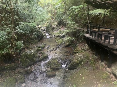 東京の森の中にあるプライベートサウナ