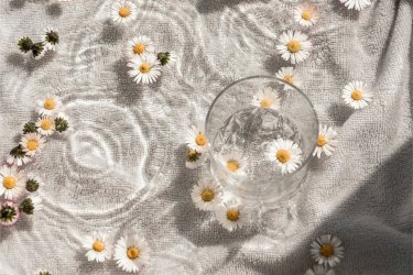 リトリートで得られる効果