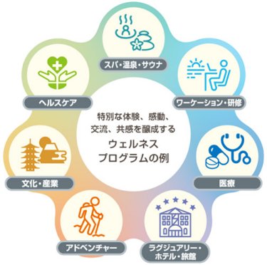 特別な体験、感動、交流、共感を醸成するウェルネスプログラムの例