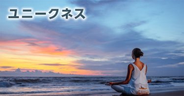 【ユニークネス】 地域独自の文化や日本らしさに触れられる