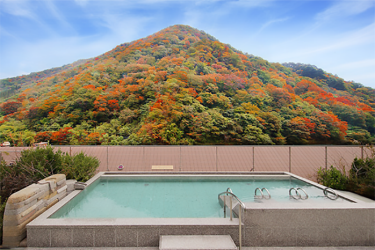 鬼怒川温泉　あさや