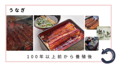 グルメ垂涎！伝統の技が息づく「三河一色産うなぎ」