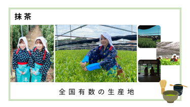 抹茶旅。生産量日本一を誇る「西尾の抹茶」のルーツを探る
