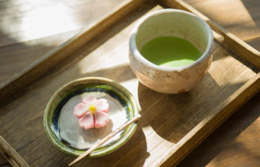 抹茶旅。生産量日本一を誇る「西尾の抹茶」のルーツを探る