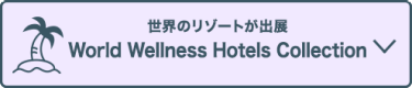世界のリゾートが出展 World Wellness Hotels Collection