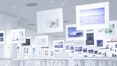 地域支援プロジェクト