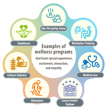 Examples of wellness programs that foster special experiences, excitement, interaction, and empathy